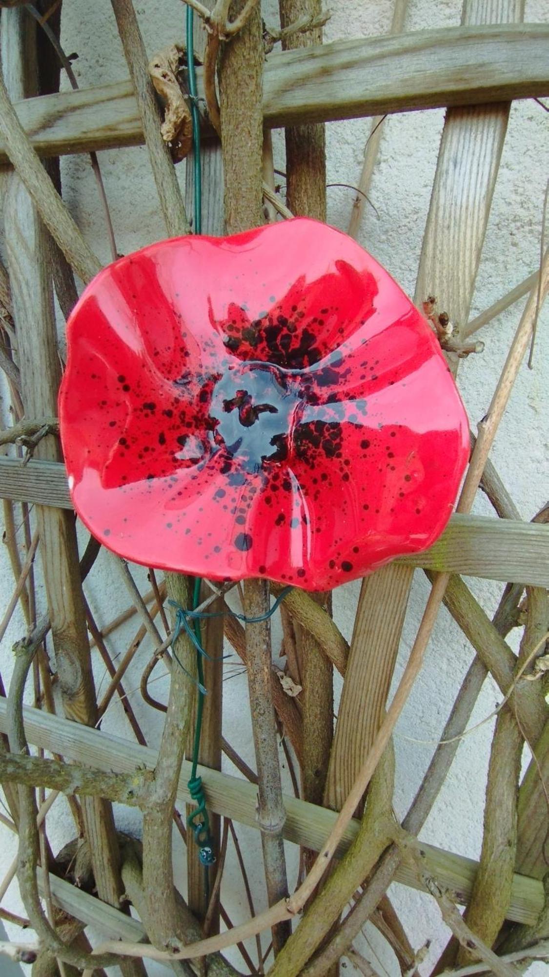 Studio Les Coquelicots Saint-Romain-sur-Cher 外观 照片