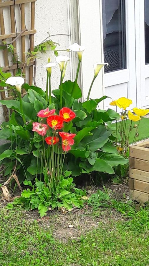 Studio Les Coquelicots Saint-Romain-sur-Cher 外观 照片